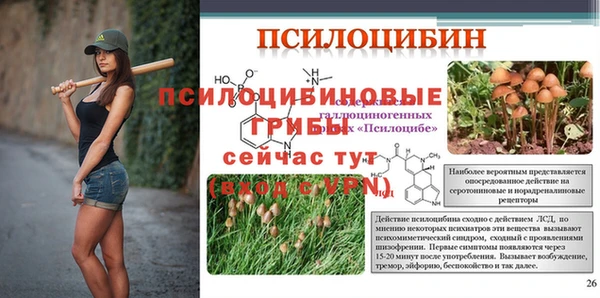 мдпв Армянск
