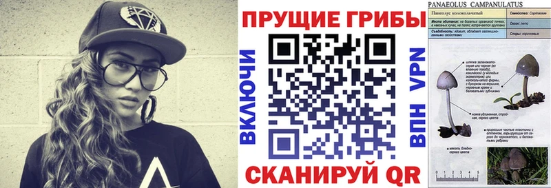 omg   Узловая  Псилоцибиновые грибы Cubensis 
